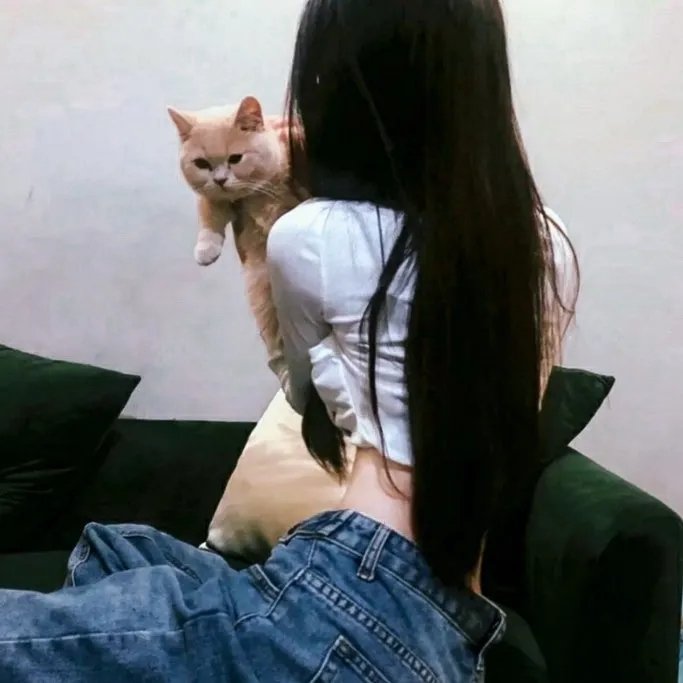 机器人历险记国语